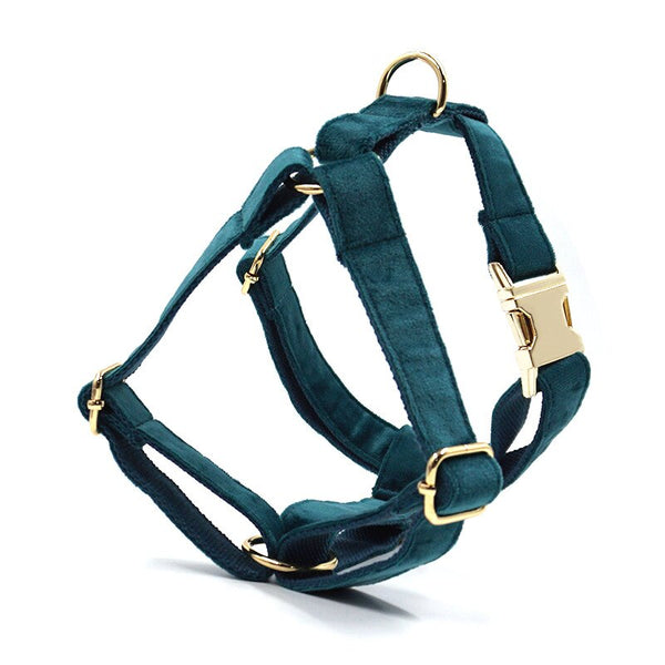 Personalisable dog harness with accessories