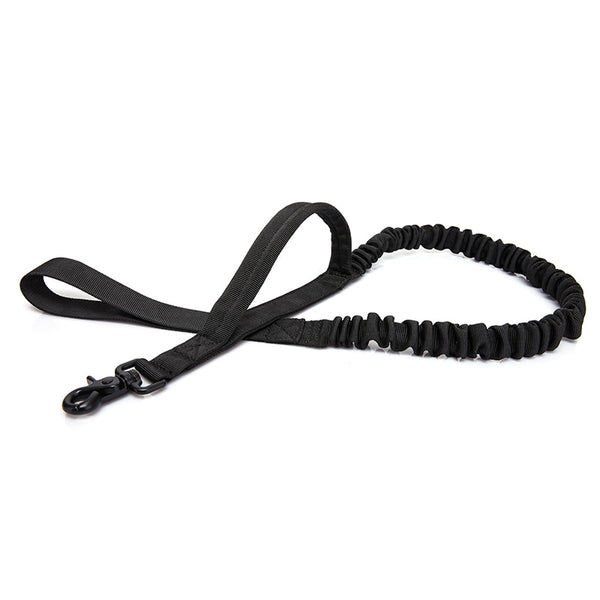 Elastic dog leash