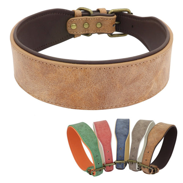Wide leather collar for large dogs