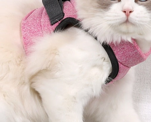 Escape-proof cat harness