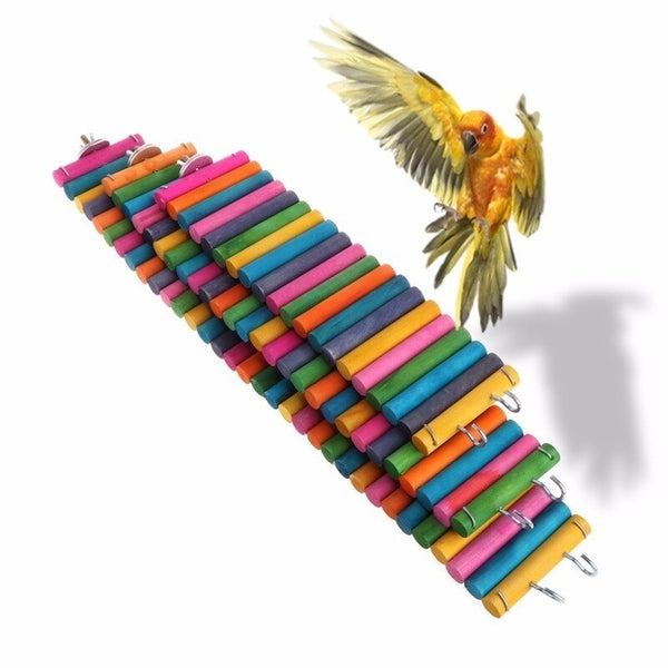 Échelle de perroquet en bois multicolores pour rongeurs