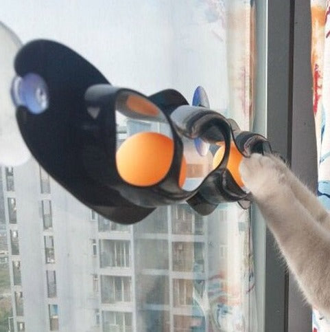 Jouets de fenêtre pour chats