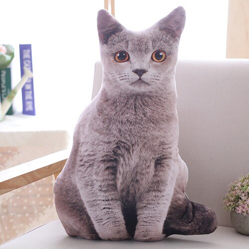 Cosy cat cushion