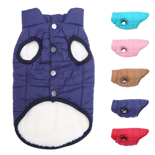 Lined vest for dogs