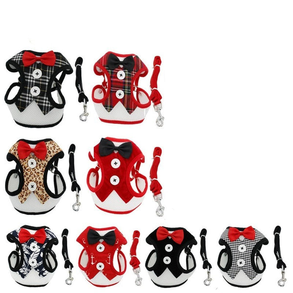 Elegant dog harness with leash