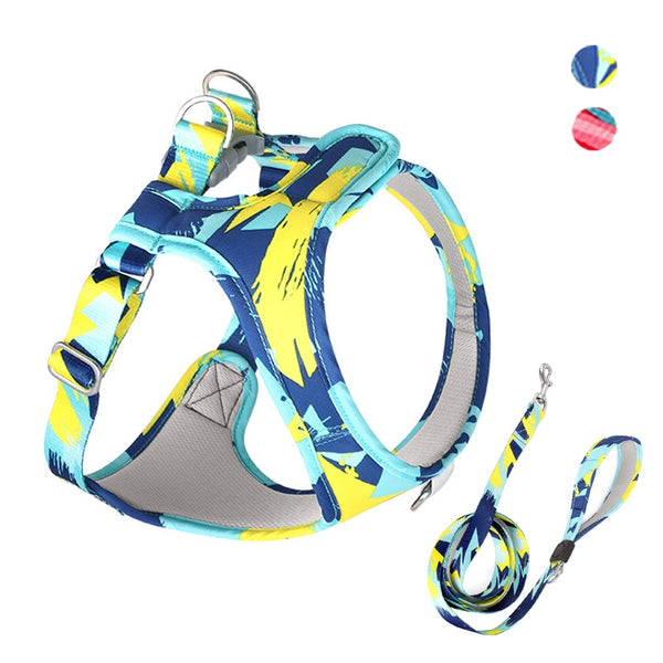 Colorful dog harness with matching leash