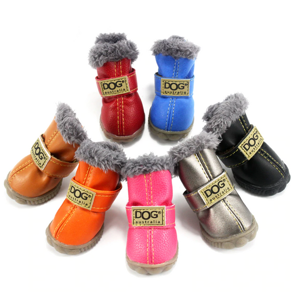Winter shoes for small dogs