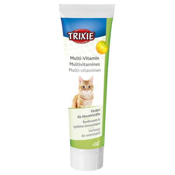 6x Multi-Vitamin-Paste