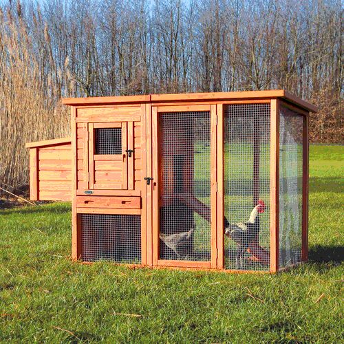 natura chicken coop, pine wood, 170 × 105 × 77 cm, brown