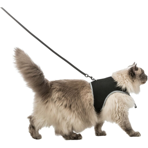 Soft harness, cat, with leash XXL, 36-54 cm
