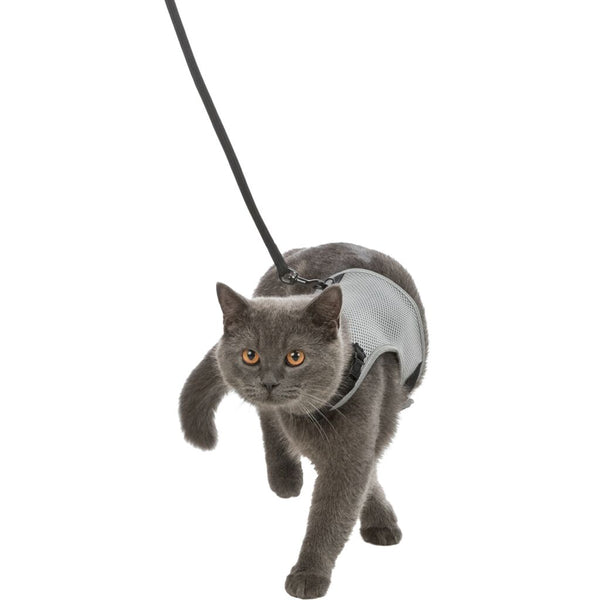 Soft harness, cat, with leash, 24-42 cm