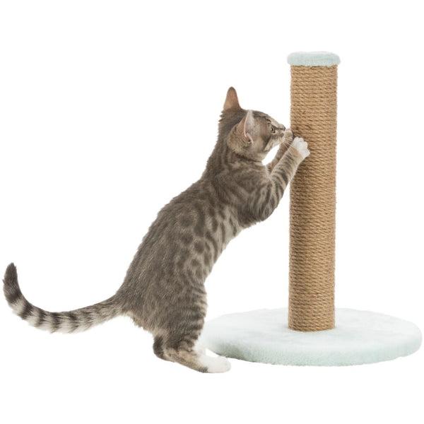 Arbre à chat junior sur assiette, 42 cm, état neuf