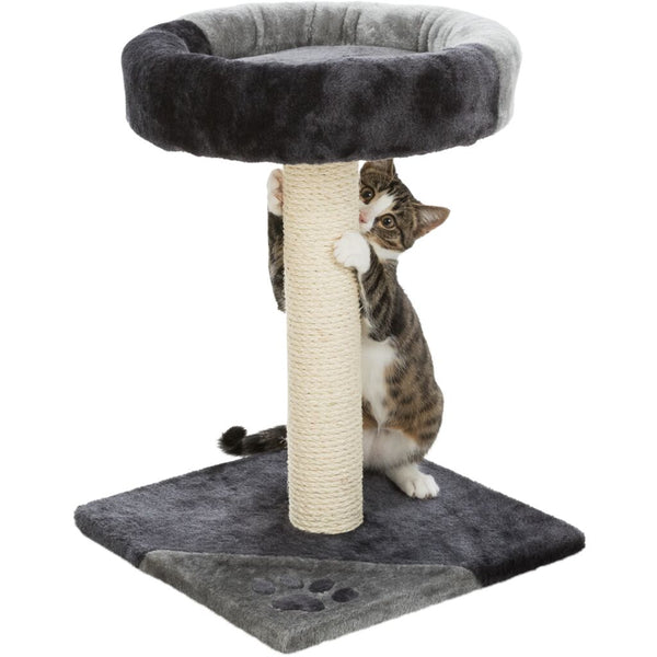 Junior scratching post Tarifa, 52 cm, grey/black