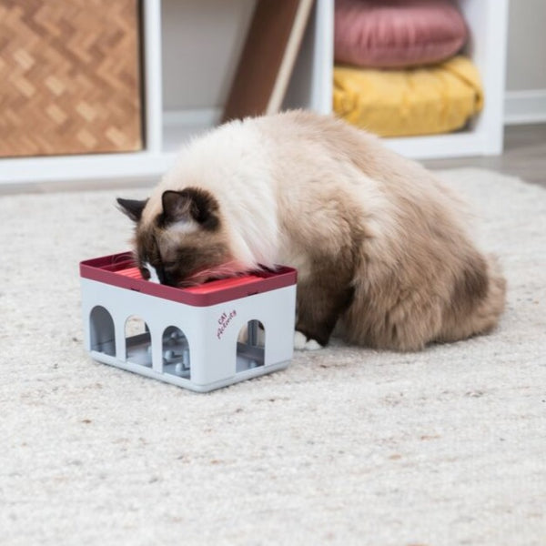 Cat Activity Rod Box