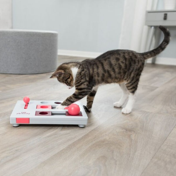 Cat Activity Strategie-Spiel Brain Mover