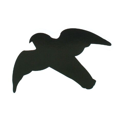 6x silhouettes d'oiseaux de proie, 17/18/25 cm