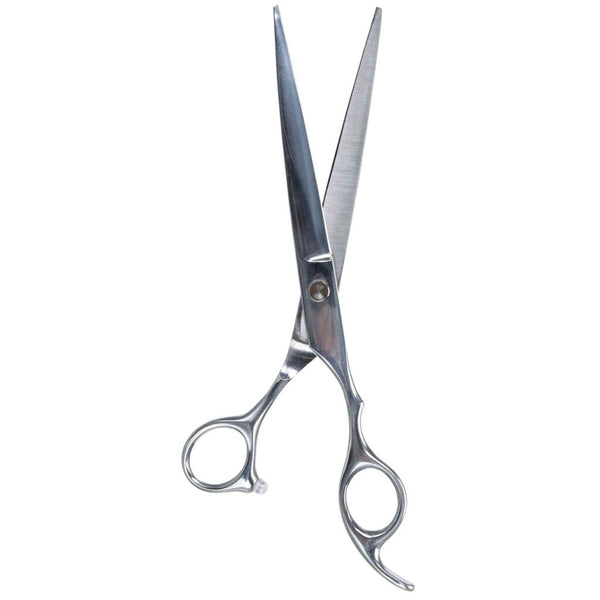 2x professional skin scissors, stainless steel, 20 cm