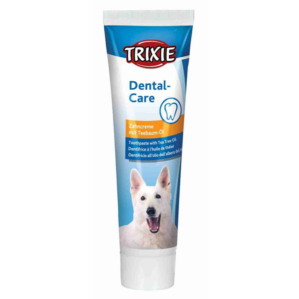 6x dentifrice