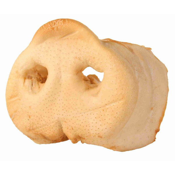 50x pig nose, dried, large