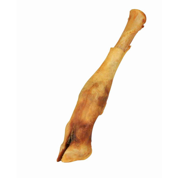 20x sheep lower leg, dried, 16-18 cm