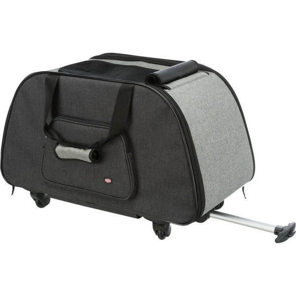 Trolley, detachable chassis, 34 × 43 × 67 cm, black/grey