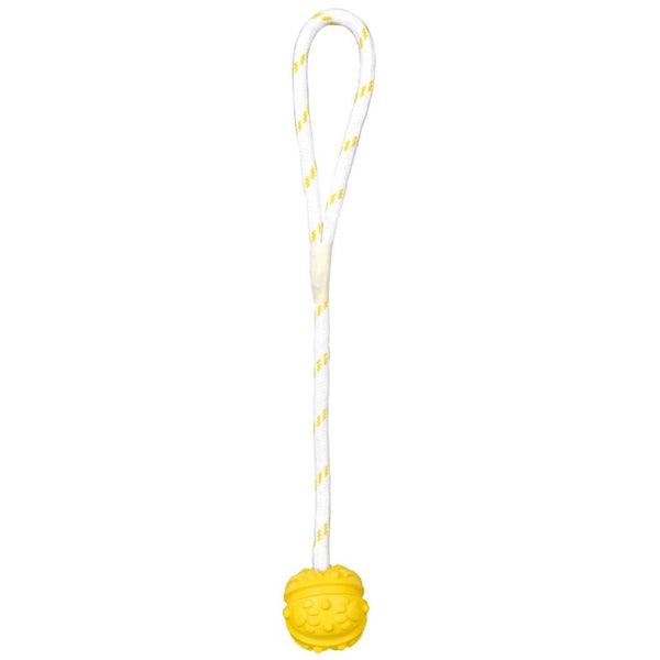 Aqua Toy Ball on the rope