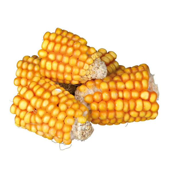 6x pieces of corn on the cob, 300 g