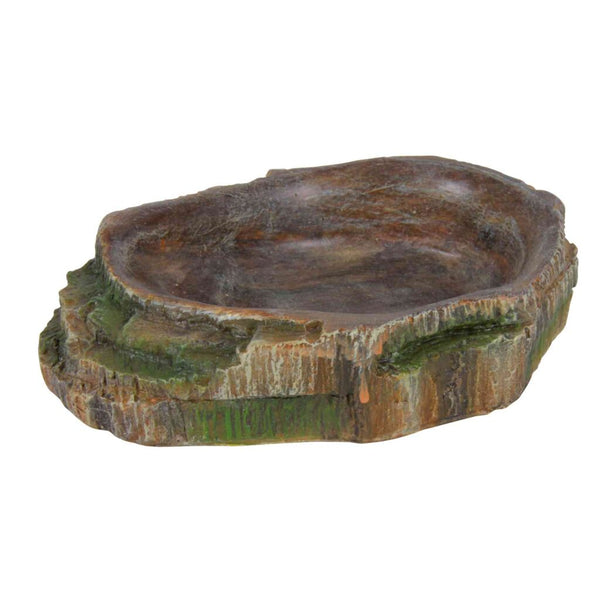Forêt tropicale de bol d'eau et de nourriture