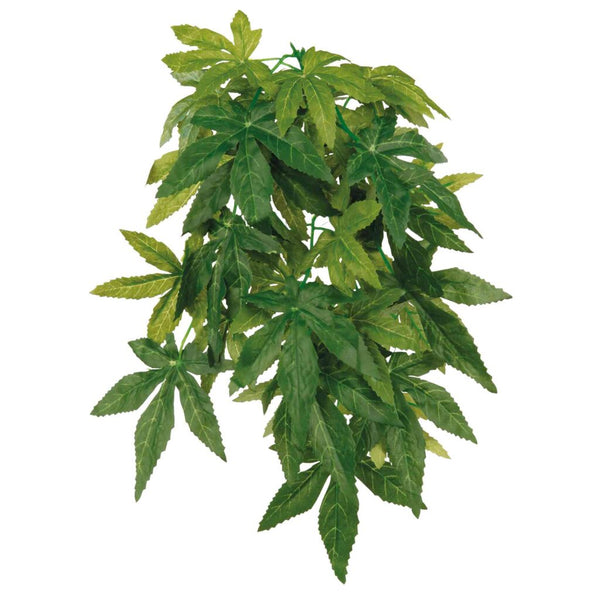 3x Seiden-Hängepflanze Abutilon, ø 20×30 cm