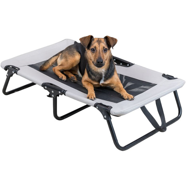 chaise longue pour chien