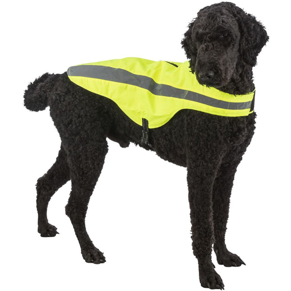 safety vest