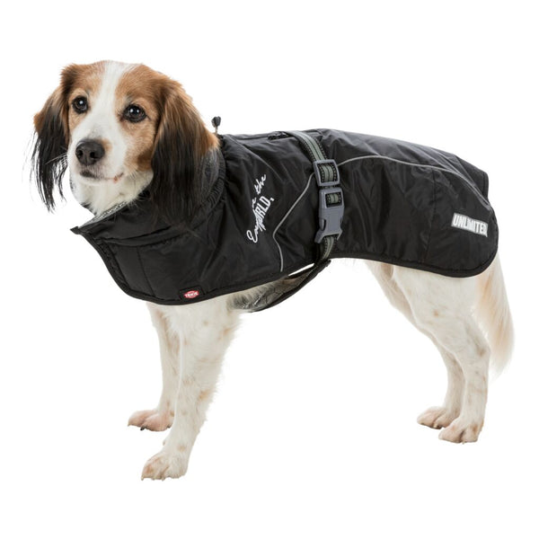 Winter coat for dogs Explore