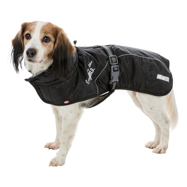 Manteau d'hiver pour chien Découvrir