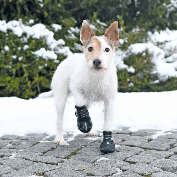 Protection des pattes Walker Active