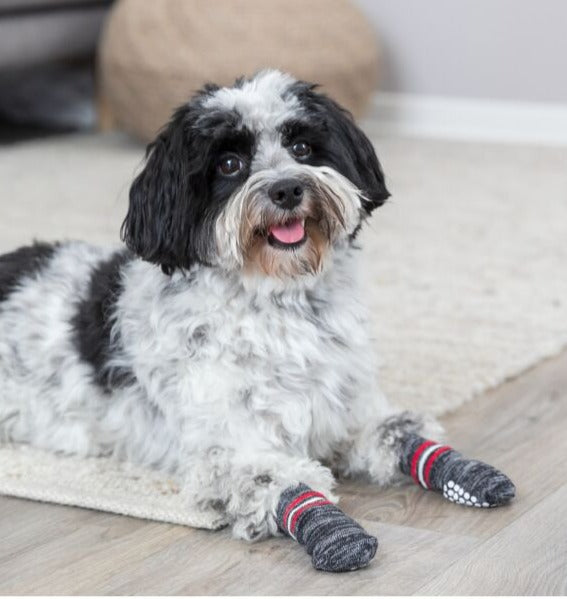 Chaussettes pour chien, antidérapantes