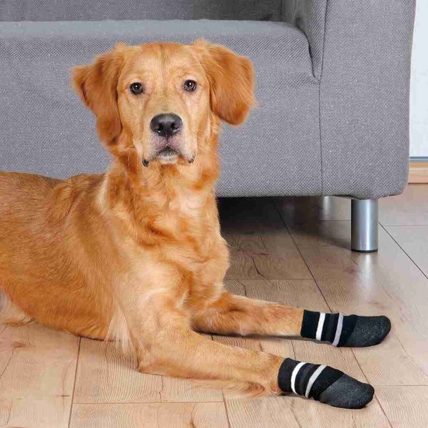 Dog socks, anti-slip with all-round rubber coating