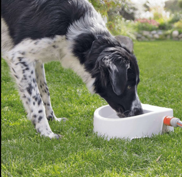 Trixie Automatic Outdoor Drinker