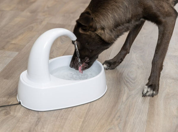 Trixie Curved Stream drinking fountain, plastic