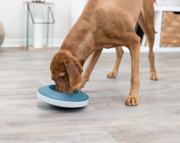 Slow Feeding Rocking Bowl