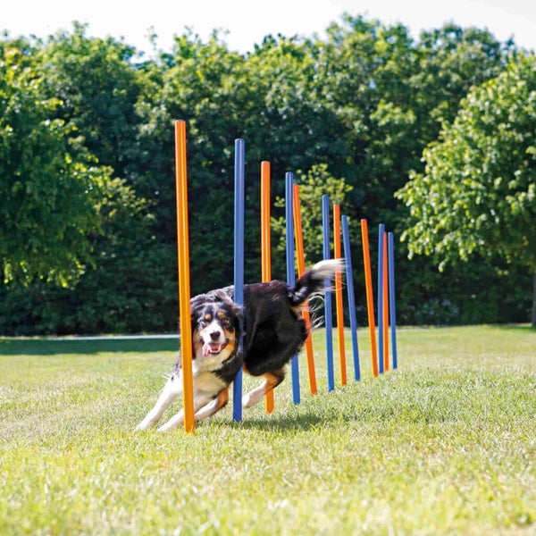 Fun Agility Slalom, Kunststoff, ø 3 × 115 cm