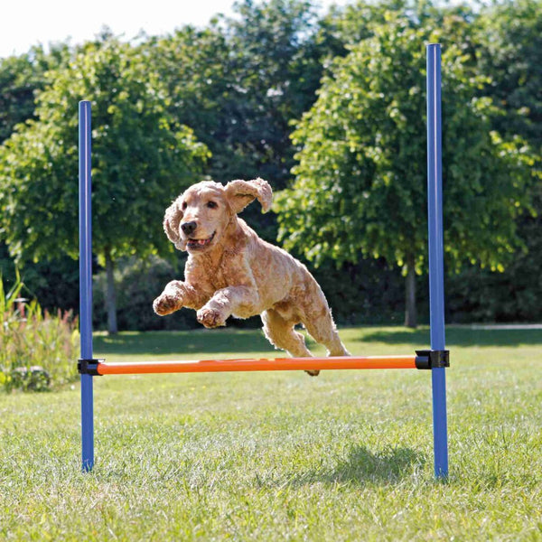 Fun agility hurdle, plastic, 123 × 115 cm, ø 3 cm, blue/orange