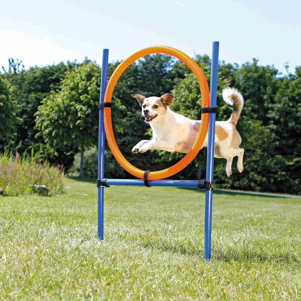 Fun Agility Ring, Kunststoff