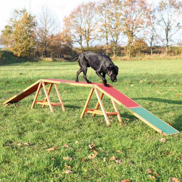 Fun agility bridge, 456 × 64 × 30 cm