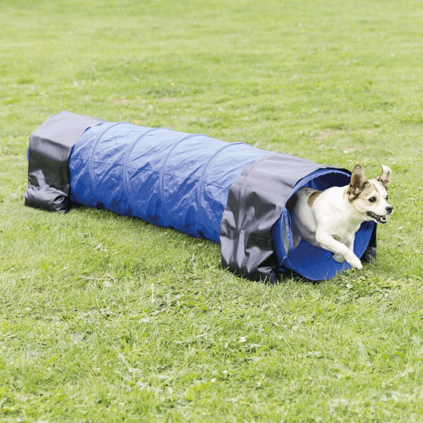 Fun Agility Mini Tunnel, ø 40 cm/2 m, blue