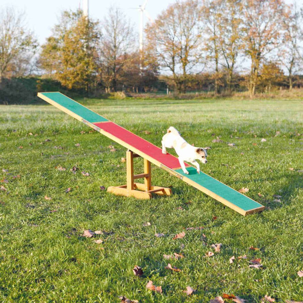 Fun Agility Wippe, 300 × 54 × 34 cm