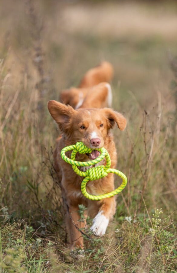 Aqua Toy rope, gripper, 42 cm