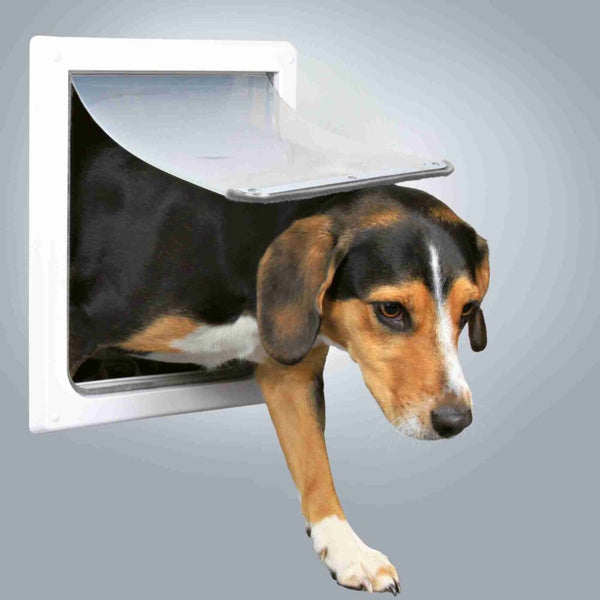 2-way free-running door for dogs, with tunnel, S–M: 30 × 36 cm, white
