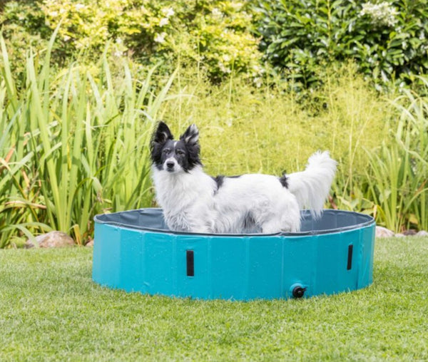 Foldable dog pool
