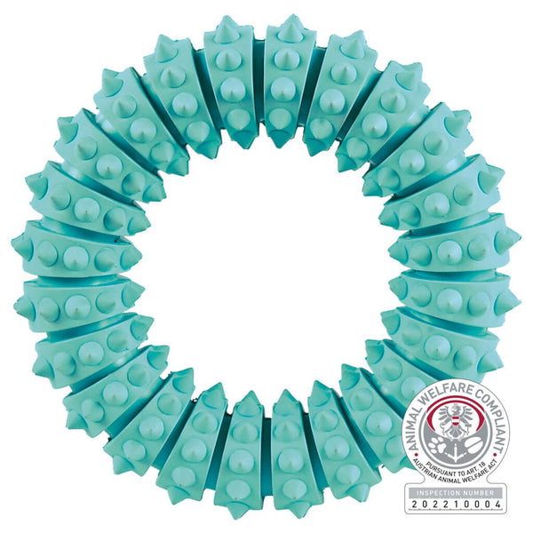 Denta Fun ring, mint flavor, natural rubber, ø 12 cm