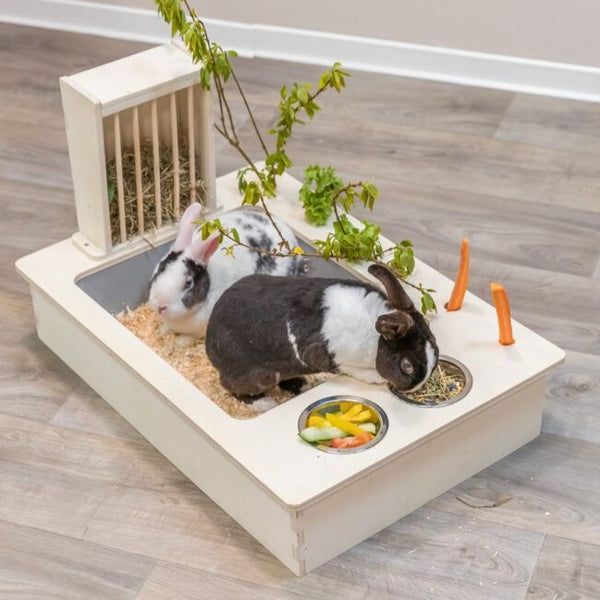 Feeding station with bowls/hay rack, wood, 70 × 41 × 47 cm